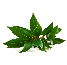 kamfora
